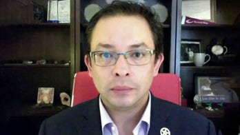 Chicago alderman says residents, businesses now looking to leave Magnificent Mile: 'It's really sad'