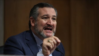 Ted Cruz slams Dems, claims they're 'facilitating' riots, violence in major US cities
