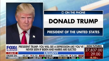 Trump says he'll defeat Biden, predicts GOP will win back House from 'stone-cold crazy' Pelosi