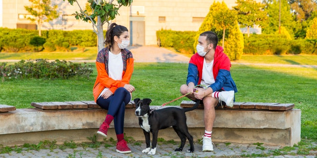 Two friends sit down while talking in the park. 