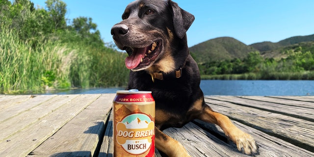 1BUSCH-DogBrew-PR2-16x9.jpg