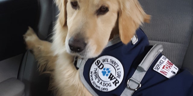 Leary's SDWR dog (Credit: Erin Leary)