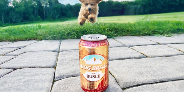 The brewery is selling four-packs of the Dog Brew online for $9.99.