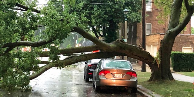 Part of a tree that had split at the trunk lies on a road in Oak Park, Ill., while also appearing not to have landed on a car parked on the road, after a severe storm moved through the Chicago area Monday, Aug. 10, 2020. 