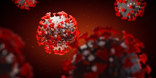 World Health Organization (WHO<a data-cke-saved-href="https://www.who.int/bulletin/online_first/COVID-19/en/" href="https://www.who.int/bulletin/online_first/COVID-19/en/" target="_blank">)</a> and infectious disease experts told Fox News the mutation of coronavirus is known as D614G and is predominately in North America and Europe.