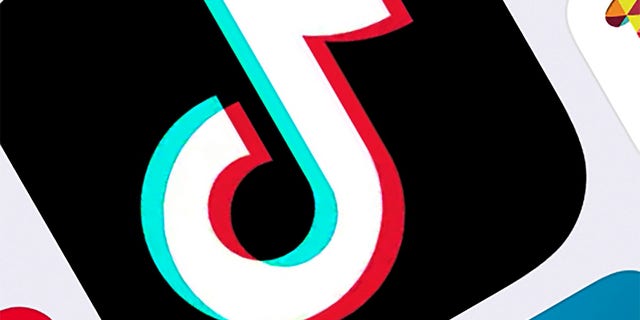 LÊER - This Feb. 25, 2020, lêerfoto, shows the icon for TikTok in New York.   President Donald Trump will order China’s ByteDance to sell its hit video app TikTok because of national-security concerns, according to reports published Friday, Julie 31, 2020. "We are looking at TikTok," Trump told reporters Friday at the White House. "We may be banning TikTok." (AP Photo/File)
