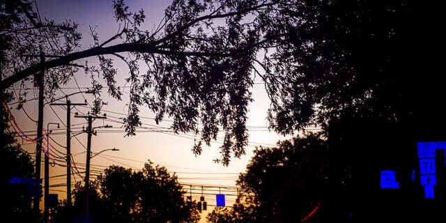 A tree is blown over by the winds of Tropical Storm Isaias rests across power lines on Aug. 4, in West Hartford, Conn. Many homes lost power due to the storm. (Mark Mirko/Hartford Courant via AP)