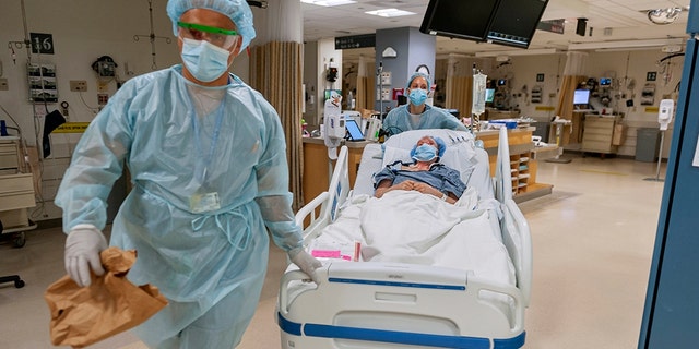 In this July 2020, photo released by Brigham and Women's Hospital, members of the transplant anesthesiology team, Drs. Kamen V. Vlassakov and Lindsay Wahl lead Carmen Blandin Tarleton to the operating room for her second face transplant at Brigham and Women's Hospital in Boston.