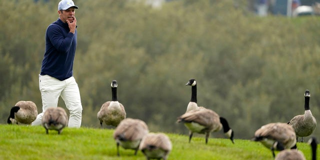 Paul Casey walks past a flock of geese on the 18th hole during the third round of the PGA Championship golf tournament at TPC Harding Park Saturday, Aug. 8, 2020, in San Francisco. (Associated Press)