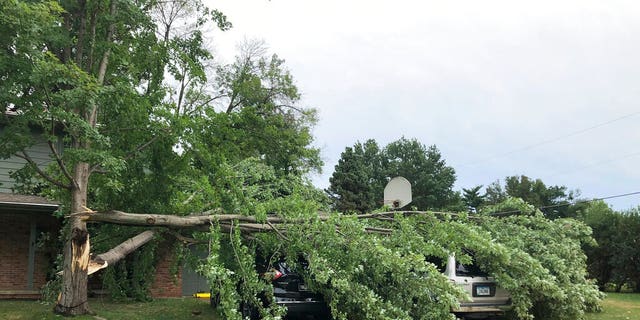 A tree fell across vehicles at a home in West Des Moines, Iowa, after a severe thunderstorm moved across Iowa on Monday Aug. 10, 2020, downing trees, power lines and damaging buildings. 