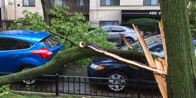 A downed tree limb blocks a roadway in Chicago's Lakeview neighborhood on Aug. 10. A rare storm packing 100 mph winds and with power similar to an inland hurricane swept across the Midwest on Monday, blowing over trees, flipping vehicles, causing widespread property damage, and leaving hundreds of thousands without power as it moved through Chicago and into Indiana and Michigan. (AP Photo/Tom Berman)