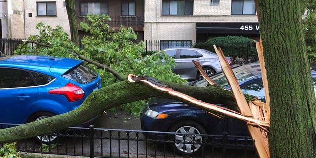 A downed tree limb blocks a roadway in Chicago's Lakeview neighborhood on Aug. 10. A rare storm packing 100 mph winds and with power similar to an inland hurricane swept across the Midwest on Monday, blowing over trees, flipping vehicles, causing widespread property damage, and leaving hundreds of thousands without power as it moved through Chicago and into Indiana and Michigan. (AP Photo/Tom Berman)