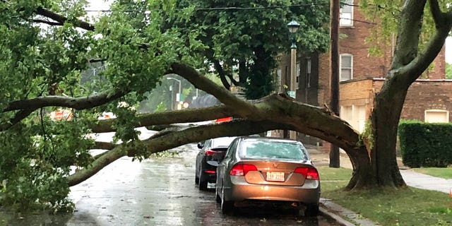 Part of a tree that had split at the trunk lies on a road in Oak Park, Ill., while also appearing not to have landed on a car parked on the road, after a severe storm moved through the Chicago area Aug. 10. (AP Photo/Dave Zelio)
