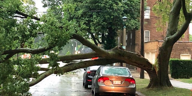 Part of a tree that had split at the trunk lies on a road in Oak Park, Ill., while also appearing not to have landed on a car parked on the road, after a severe storm moved through the Chicago area Aug. 10. (AP Photo/Dave Zelio)