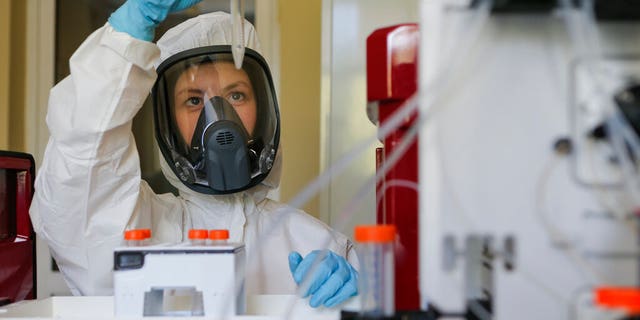 In this handout photo taken on Thursday, Aug. 6, 2020, and provided by Russian Direct Investment Fund, an employee shows a new vaccine at the Nikolai Gamaleya National Center of Epidemiology and Microbiology in Moscow, Russia.
