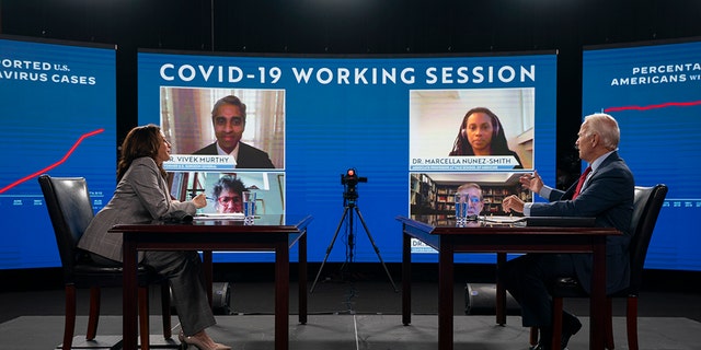 Democratic presidential candidate former Vice President Joe Biden and his running mate Sen. Kamala Harris, D-Calif., receive virtual briefing on COVID-19 from public health experts in Wilmington, Del., Thursday, Aug. 13, 2020. (AP Photo/Carolyn Kaster)