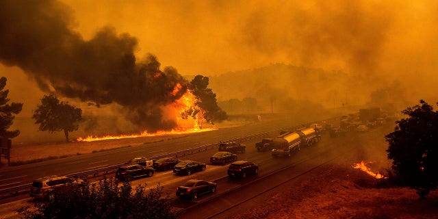 Flames from the LNU Lightning Complex fires jump Interstate 80 in Vacaville, Calif., Wednesday, Aug. 19, 2020. The highway was closed in both directions shortly afterward. Fire crews across the region scrambled to contain dozens of wildfires sparked by lightning strikes as a statewide heat wave continues. (AP Photo/Noah Berger)