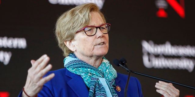 In this Jan. 27, 2020, file photo, Rep. Chellie Pingree, D-Maine, speaks a news conference in Portland, Maine. At least 4,800 chicks shipped to Maine farmers through the U.S. Postal Service have arrived dead in the recent weeks since rapid cuts hit the federal mail carrier's operations, Pingree said.(AP Photo/Robert F. Bukaty, File)