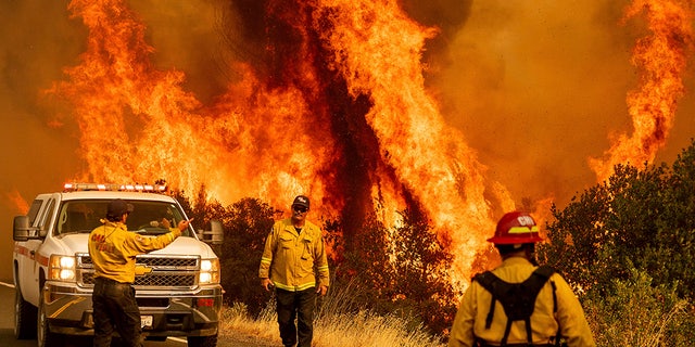 Flames from the LNU Lightning Complex fires leap above Butts Canyon Road on Sunday, Aug. 23, 2020, as firefighters work to contain the blaze in unincorporated Lake County, Calif. (AP Photo/Noah Berger)