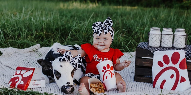 Chick-fil-A-themed photoshoot features a rescue calf and a baby having an adorable picnic. (Tori Walker Photography LLC)