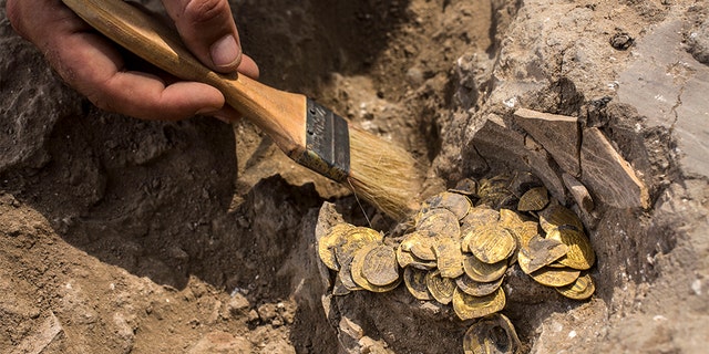 Israeli archaeologist Shahar Krispin cleans gold coins that was discovered at an archeological site in central Israel, Tuesday, Aug 18, 2020. Israeli archaeologists have announced the discovery of a trove of early Islamic gold coins during recent salvage excavations near the central city of Yavn Tel Aviv. The collection of 425 complete gold coins, most dating to the Abbasid period around 1,100 years ago, is a "extremely rare" find. (AP Photo/Sipa Press, Heidi Levine, Pool)
