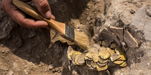 Israeli archaeologist Shahar Krispin cleans gold coins that was discovered at an archeological site in central Israel, Tuesday, Aug 18, 2020. Israeli archaeologists have announced the discovery of a trove of early Islamic gold coins during recent salvage excavations near the central city of Yavn Tel Aviv. The collection of 425 complete gold coins, most dating to the Abbasid period around 1,100 years ago, is a "extremely rare" find. (AP Photo/Sipa Press, Heidi Levine, Pool)