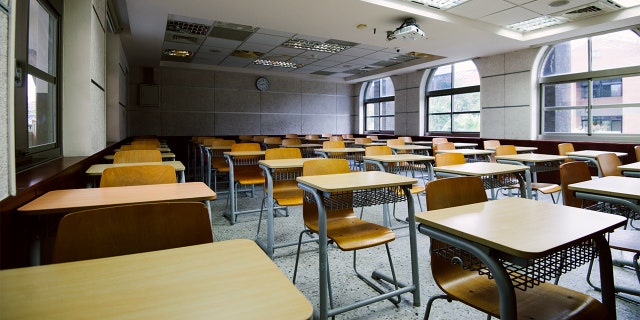 The school district said the sub has been pulled from the list of eligible substitutes for all school in the county while the investigation continues.