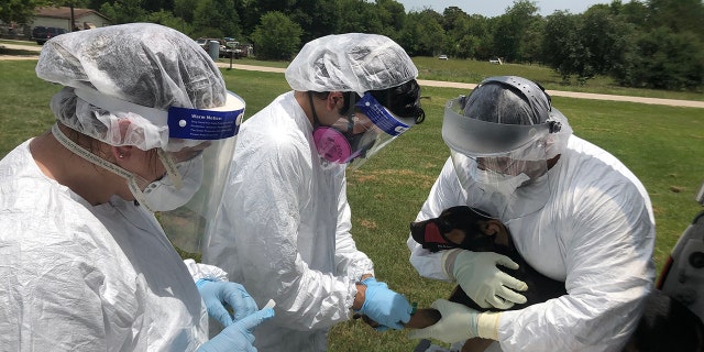 On-site research team members (from left), research assistant Lisa Auckland, postdoctoral researcher Italo Zecca (MPH, PhD), and doctoral student Edward Davila collected samples from Daisy.
