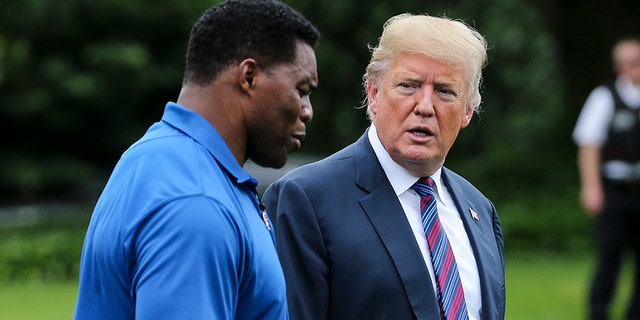 President Trump (right) and Herschel Walker (left) walk as they watch young participants during the White House Sports and Fitness Day on the South Lawn on May 30, 2018, in Washington, D.C. (Oliver Contreras-Pool/Getty Images)