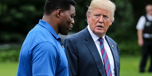 President Trump (right) and Herschel Walker (left) walk as they watch young participants during the White House Sports and Fitness Day on the South Lawn on May 30, 2018, in Washington, D.C. (Oliver Contreras-Pool/Getty Images)