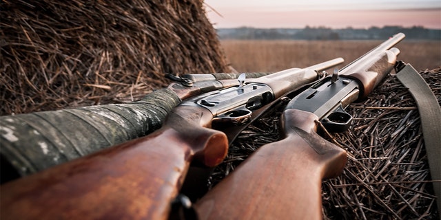 The NY DEC issued a statement confirming that during the 2021 season, it investigated nine hunting-related shooting incidents.