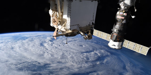 Hurricane Genevieve photographed from space. (Chris Cassidy/NASA)