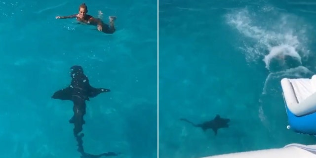 Iso Machado, pictured, with her new shark friend. The Miami woman was celebrating her birthday on a boat in the Bahamas last week when she was welcomed into the water by an 8-foot shark.