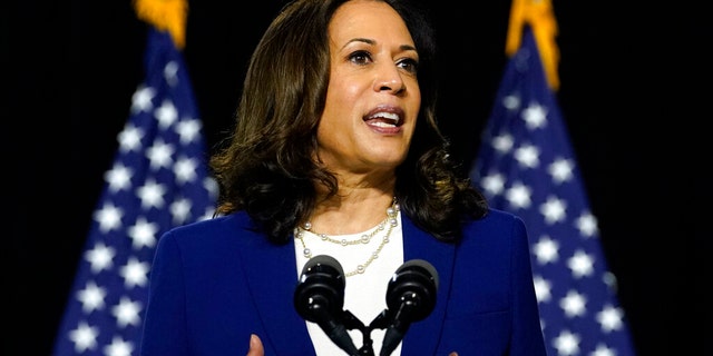 Vice president-elect Kamala Harris (AP Photo/Carolyn Kaster, File)