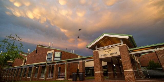 NC State College of Veterinary Medicine & Veterinary Hospital