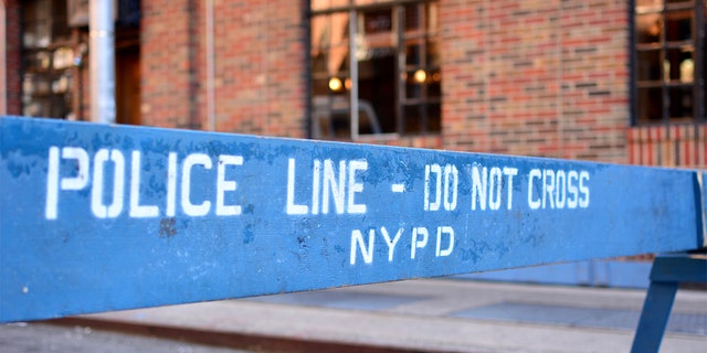Los cinco homicidios ocurrieron en los distritos del Bronx y Brooklyn.