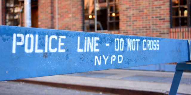 The five homicides happened in the Bronx and Brooklyn boroughs.