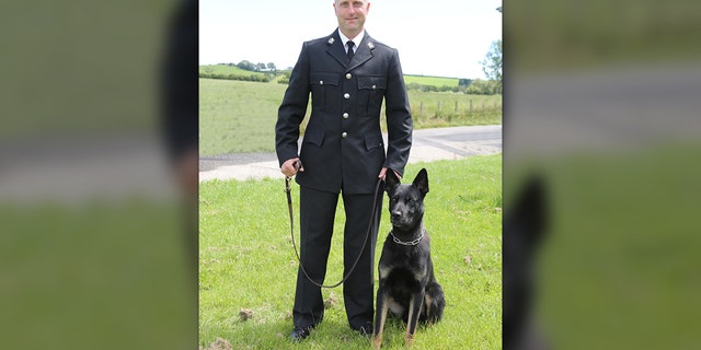 Max, a 2-year-old German shepherd mix, and his handler Police Constable Peter Lloyd, who completed their police dog training in February for the Dyfed-Powys Police, were part of a broad search and rescue mission on a Wales mountainside during their first shift together. (Dyfed-Powys Police)