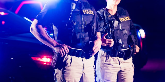 Cropped view of two police officers standing in front of patrol cars, wearing bulletproof vests and duty belts.