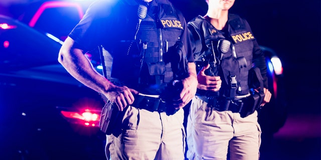 Cropped view of two police officers standing in front of patrol cars, wearing bulletproof vests and duty belts. 