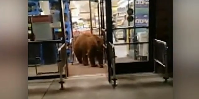 The video was shot Tuesday night at a Safeway grocery store in Lake Tahoe, California.