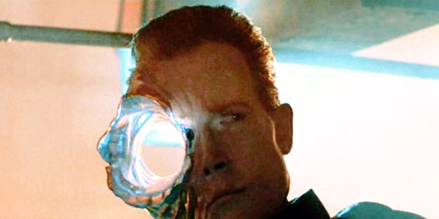 The film "Terminator 2: Judgment Day", directed by James Cameron.  Seen here, the T-1000 Terminator, in partial liquid metal form, suffers a gunshot to the head.