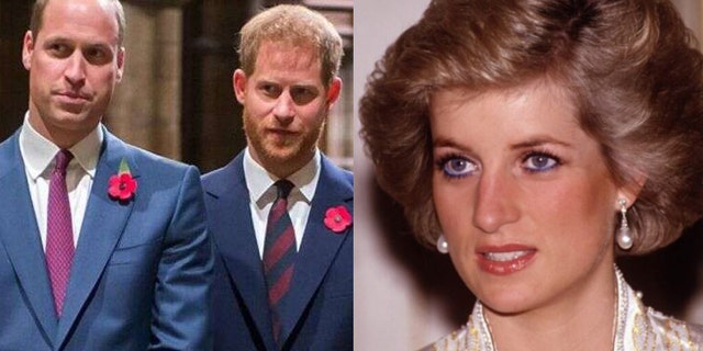 Princes William and Harry are expected to reunite later this year to honor their late mother, Princess Diana.