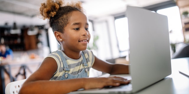 Girl spending time with notebook computer.