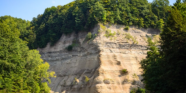 A 16-year-old girl died after falling from a ledge in western New York’s Zoar Valley Saturday afternoon, according to the Cattaraugus County Sheriff’s Office.