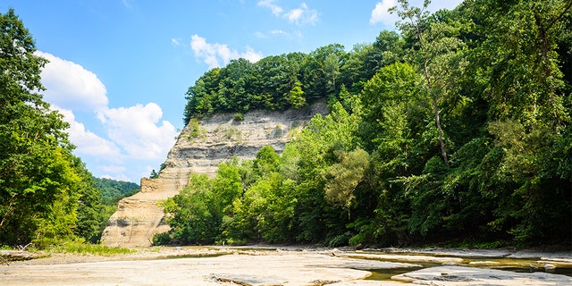 The Zoar Valley Multiple Use Area south of Buffalo comprises about 3,000 acres of state-owned land with shale cliffs up to 400 feet tall rising above Cattaraugus Creek.