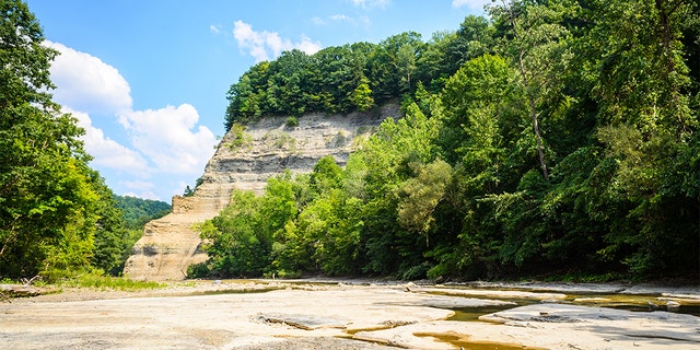 The Zoar Valley Multiple Use Area south of Buffalo comprises about 3,000 acres of state-owned land with shale cliffs up to 400 feet tall rising above Cattaraugus Creek.