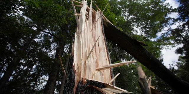 Two men who survived Hurricane Isaias as it made landfall in North Carolina died on Wednesday after they were struck by lightning while cleaning storm debris, according to officials. Trees can be seen damaged off North Landing road near the court house in Virginia Beach, Va.