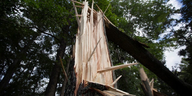 Two men who survived Hurricane Isaias as it made landfall in North Carolina died on Wednesday after they were struck by lightning while cleaning storm debris, according to officials. Trees can be seen damaged off North Landing road near the court house in Virginia Beach, Va.