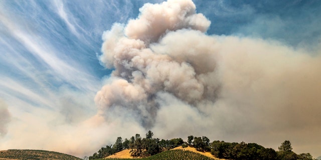 Uma pluma sobe sobre um vinhedo no não incorporado condado de Napa enquanto o incêndio de Hennessey queima na terça-feira, 18 de agosto de 2020.